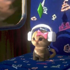 fweakyT (sara kawai edit)