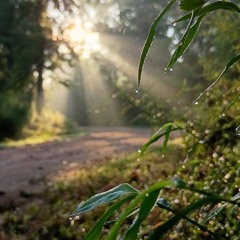 Just Tryna - YoungDeen