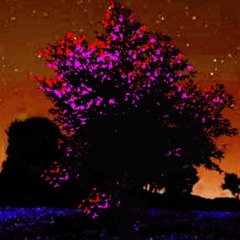 Field of Hopes and Dreams