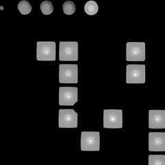 Numbers
