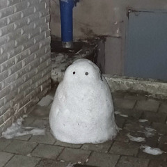안되겠지?