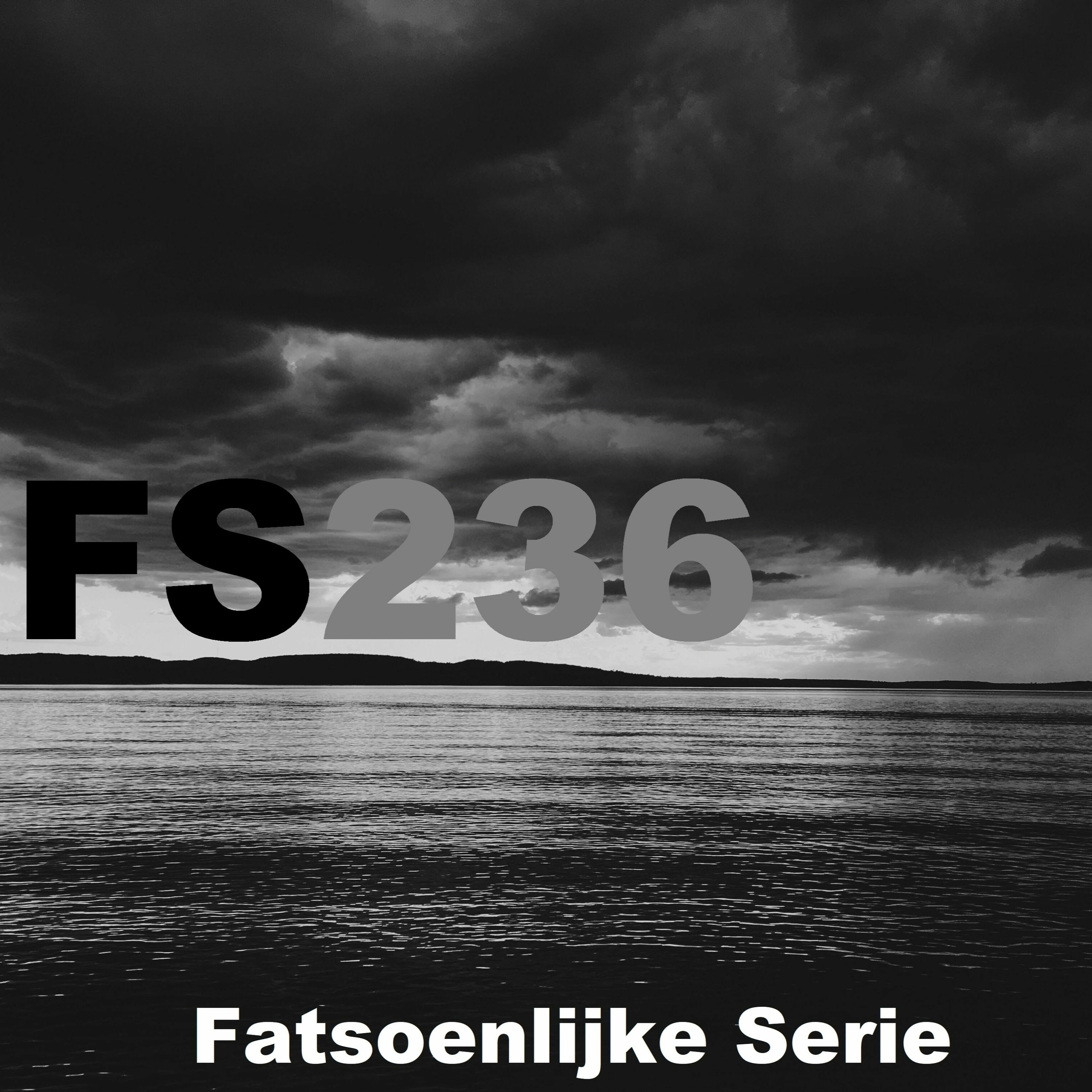 Fatsoenlijke Serie
