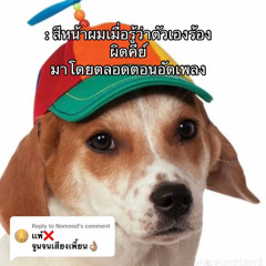 รักใครไม่เป็นก็ได้ cover