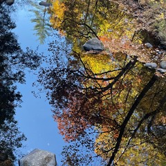 5. I Thought Wrong . The Recyclists . Starry Plough 9.21.24