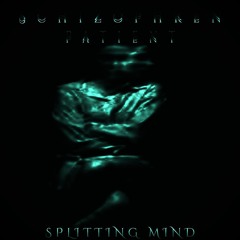 SPLITTING MIND