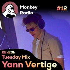 Yann Vertige - Live Monkey Radio #12 (Tech House & Melodic Techno Mix)