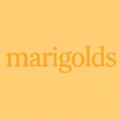 marigolds demo