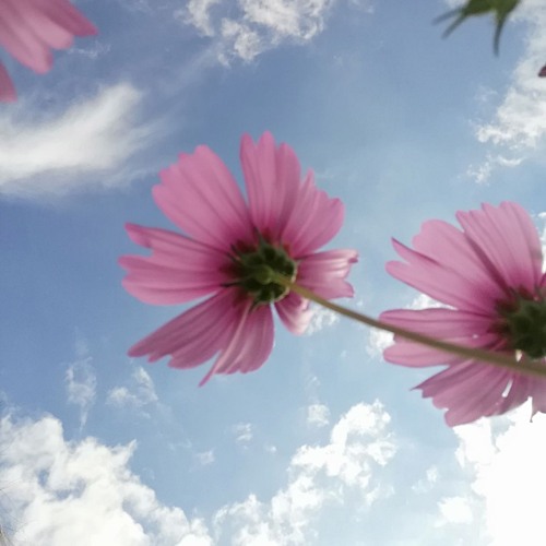 ĐIỀU ANH LO SỢ ft YÊU MỘT NGƯỜI CÓ ƯỚC MƠ - NVT & BT REMIX