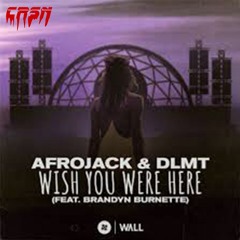 Afrojack & DLMT - Wish You Were Here(Ft. Brandyn Burnette)(CRSN Remix)
