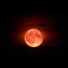 Raining Blood (Slayer/Tori Amos Tribute)