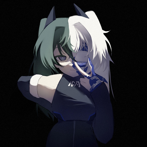 fracture