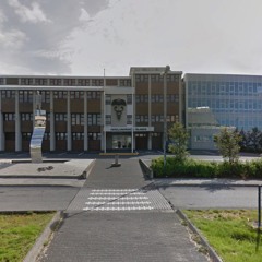 viva verzlo - mani og guðni bootleg remix