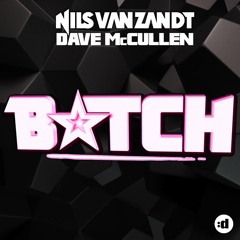 Bitch (Radio Edit)