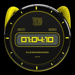 LAP: 8 [CLEOPARD2000]