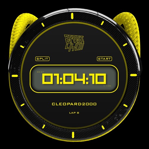 LAP: 8 [CLEOPARD2000]