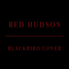 Red Hudson - Blackbird Cover (Guitar by Blaise)