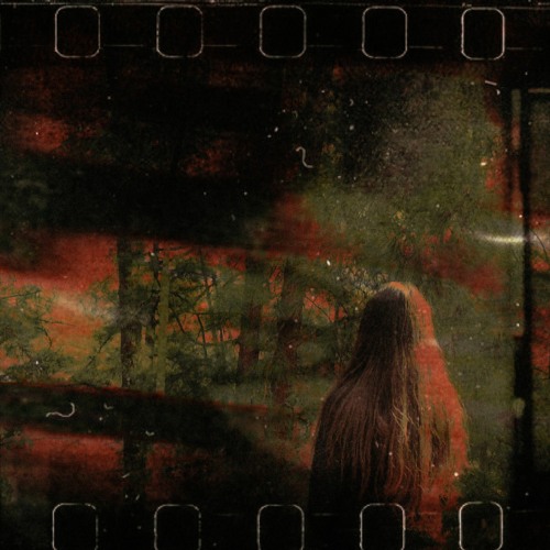 Cinematic Soundtrack "Day in the Forest" | Milagros en Estéreo