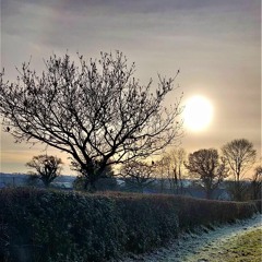 WINTER (2024) for oboe and string orchestra (short version)