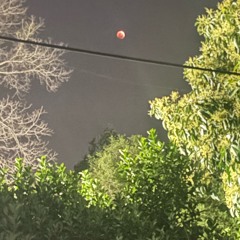 Arizona