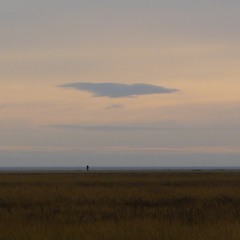 Working Hard Not To Love You