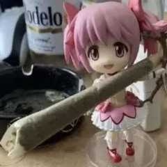 яд + Curlydaboi