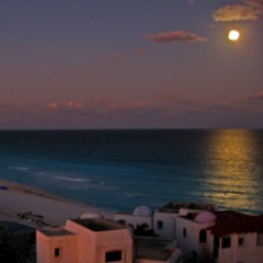 In The Light Of The Pale Moon: Nocturne for Piano