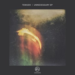 Temudo - Let's Treat It As Such (Soma569d)