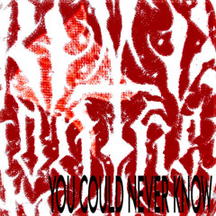 YOU COULD ((NEVER)) KNOW (PROD@ YUNGJUZO) [TRXXPCORE]