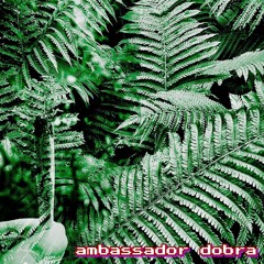 Boii Costas  - Ambassador Dobra I