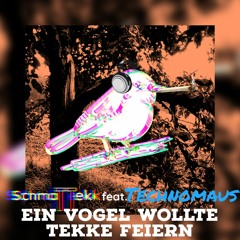SCHMATTEKK feat. Technomaus - Ein Vogel Wollte Tekke Feiern(Kinderlieder Zum Mitsingen)
