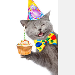 happybirthday