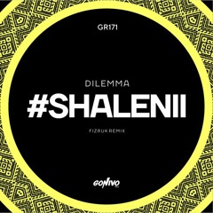 DILEMMA - #Shalenii (Fizruk Remix)