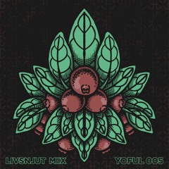 - LivsNjutMix 005 - Yoful -