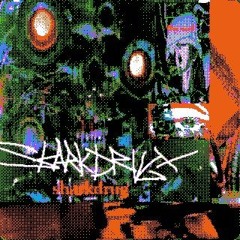 _PigeonCaptur3 / GABBERZONE