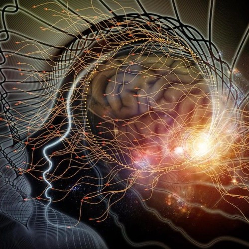 set tribe mental (Mental fever/Méloman club) mix vinyle phase serato