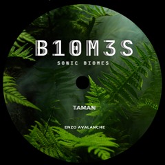 TAMAN - Enzo Avalanche