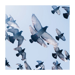 Ruta Mur - You're Just Like The Spring (Matas Remix)