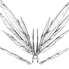 angels