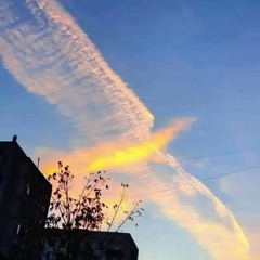 Immortalized Phoenix K Matic  ft Trippie Redd