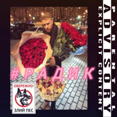 радик