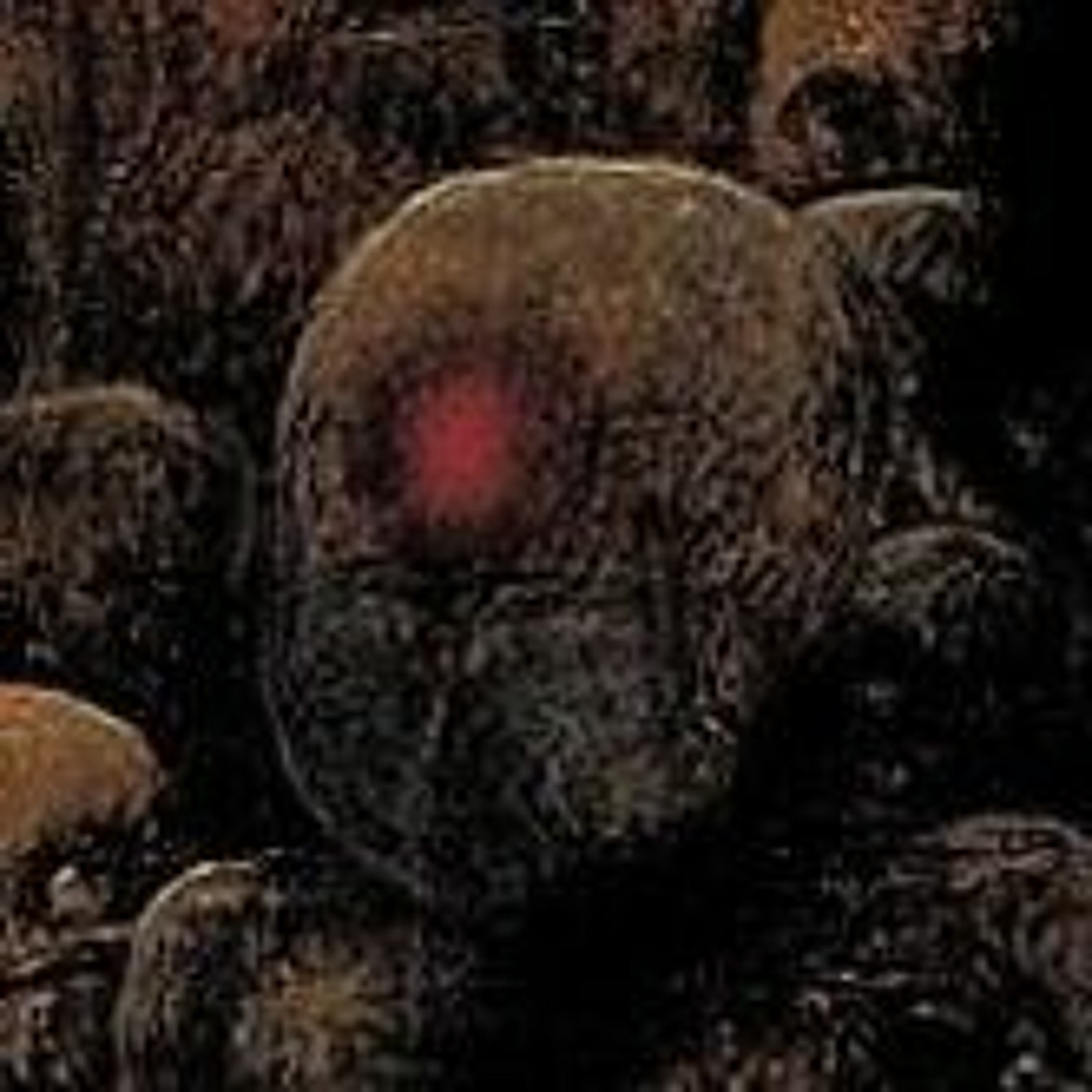 Hitboxer episode artwork