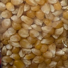 sweet & salted (home recording)