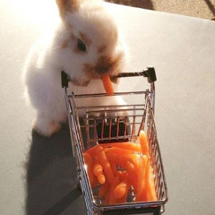 phita - j'ai trick le lapin