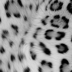 VANESS|REC March 24” tulum