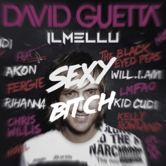 DAVID GUETTA x AKON - Sexy Bitch (IL MELLU Tech Edit)