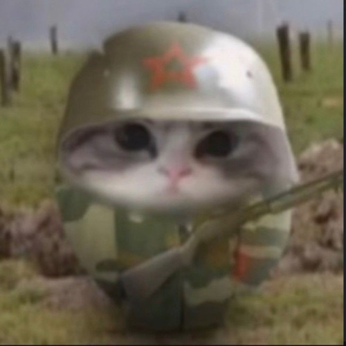 ☭️