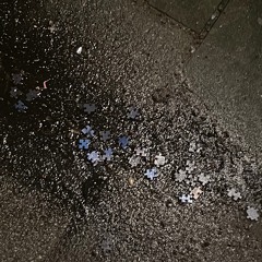 Scaling #7 w/ chiasme + Matilda Tjäder (18/08/23)