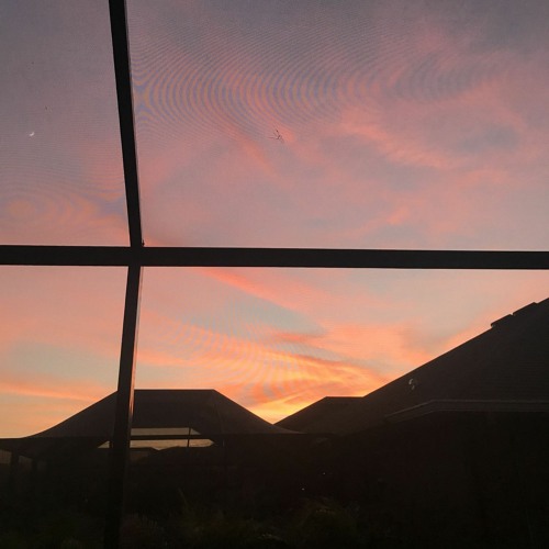 Шипы (white punk + buhguul)