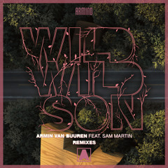 Wild Wild Son (Richard Durand Remix) [feat. Sam Martin]