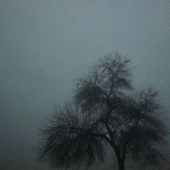 - my life be like (slowed)